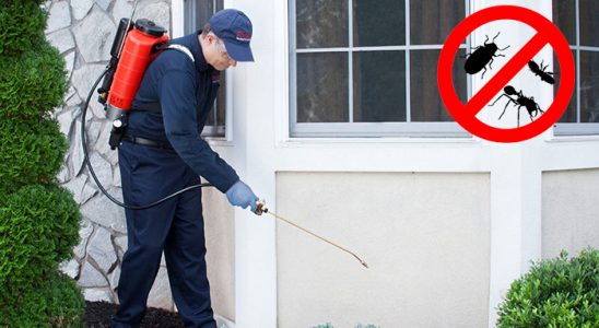 Mamak Böcek ve Haşere İlaçlama böcek ilaçlama ve haşere kontrolü — ilaclama-tr.com
